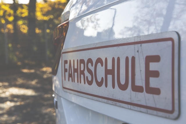 Tipps, um dich auf den Weg zu deinem Führerschein vorzubereiten