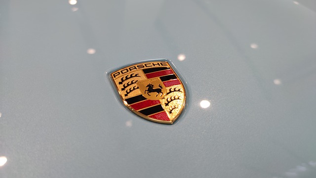 Porsche Logo