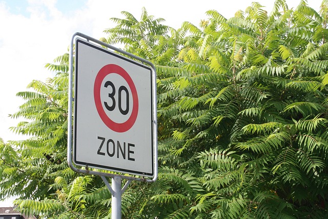 Verkehrsregeln in Deutschland